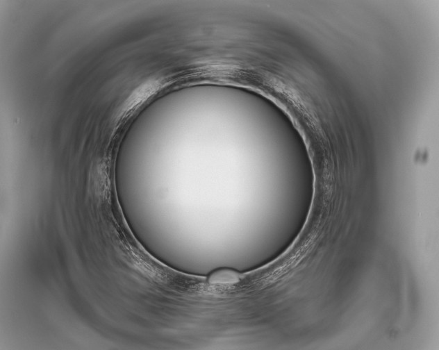 X0000096131354200801251006