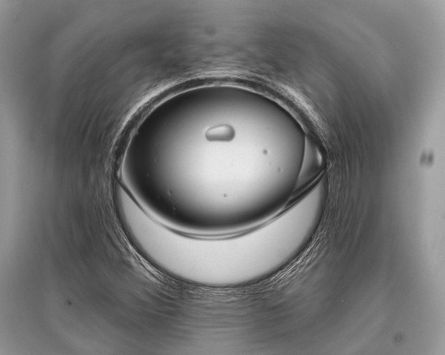X0000096131356200801251006