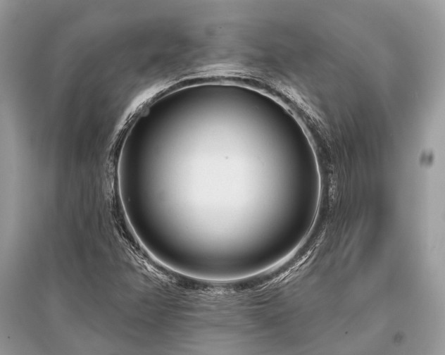 X0000096131358200801251006