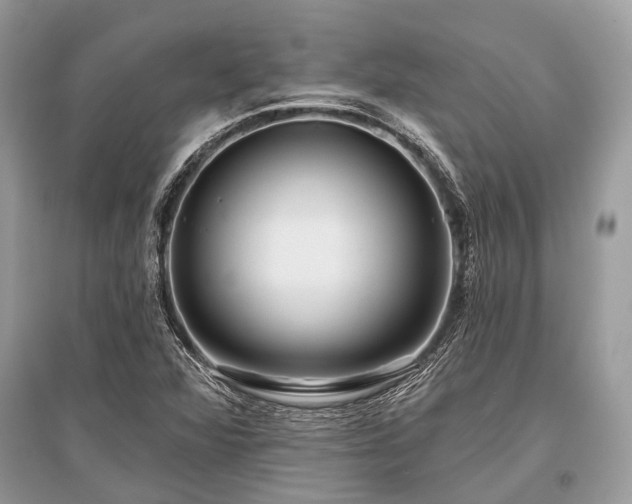 X0000096131360200801251006