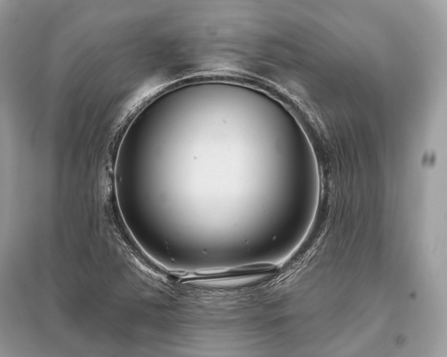 X0000096131363200801251006