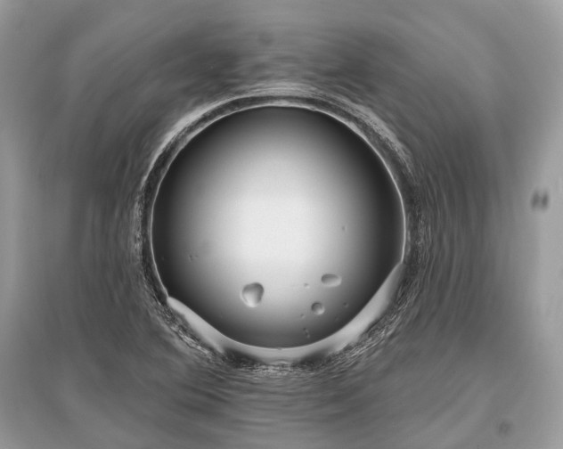 X0000096131364200801251006