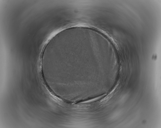 X0000096131367200801251006
