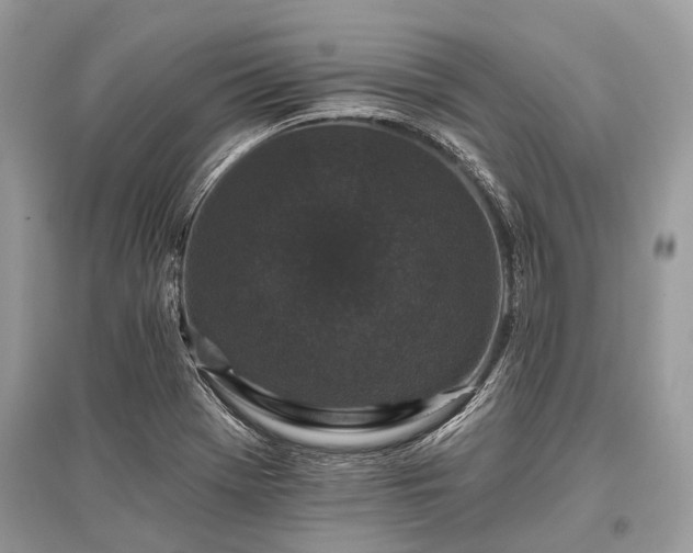 X0000096131369200801251006