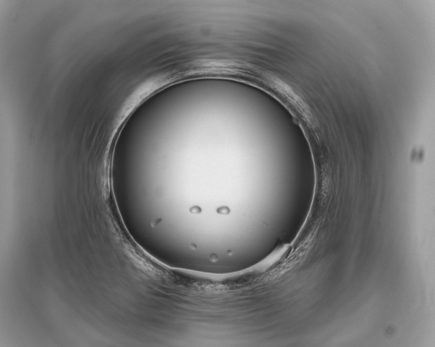 X0000096131370200801251006
