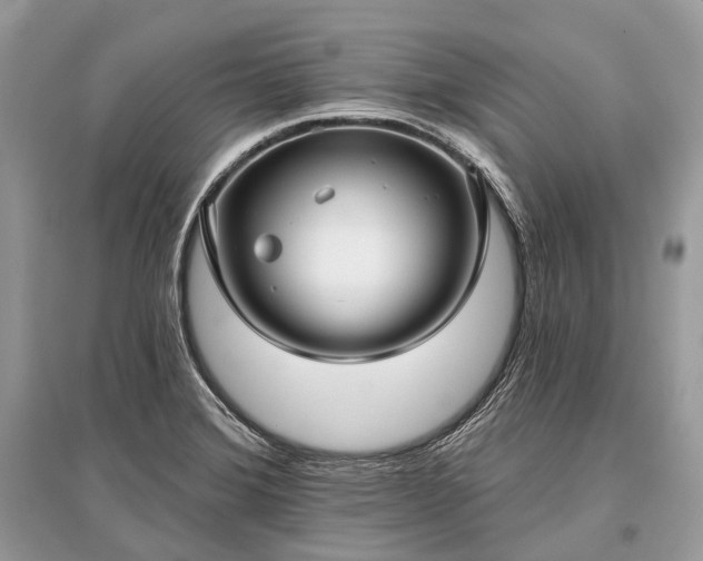 X0000096131372200801251006