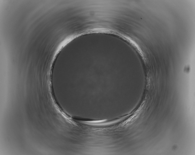 X0000096131373200801251006