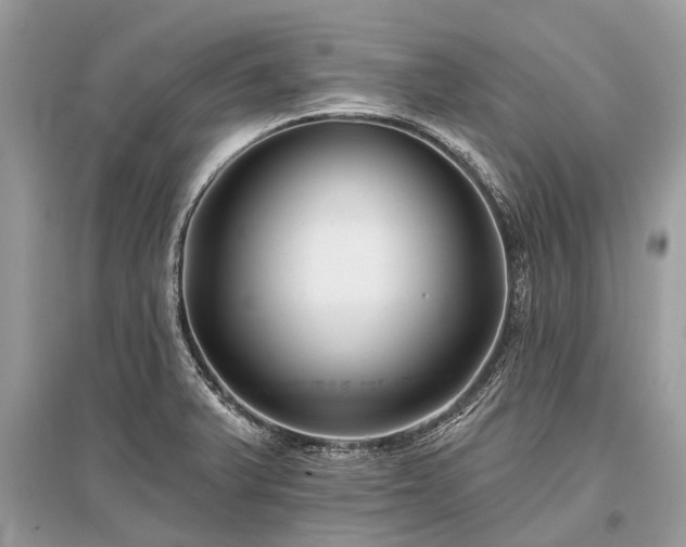 X0000096131375200801251006