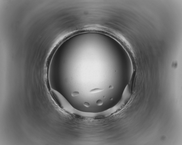 X0000096131376200801251006