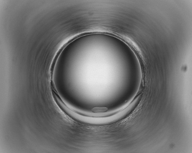 X0000096131380200801251006