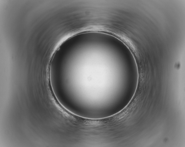 X0000096131382200801251006