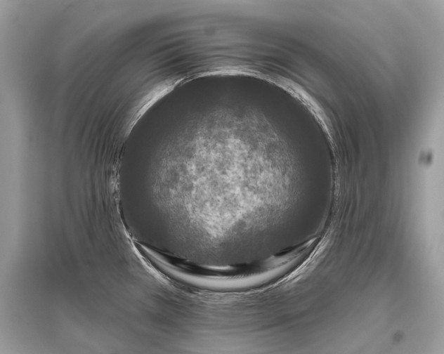 X0000096131385200801251006