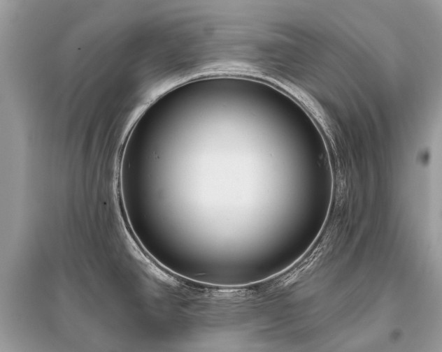 X0000096131390200801251006