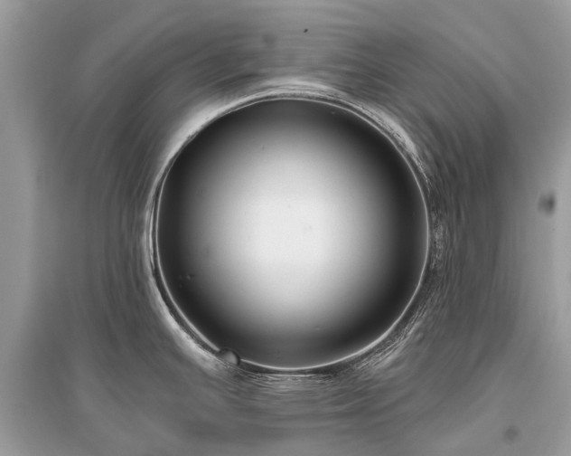 X0000096131391200801251006