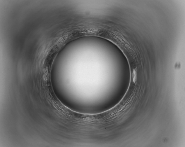 X0000096131395200801251005