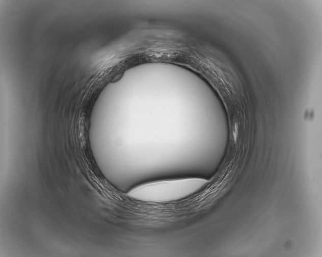X0000096131396200801251005