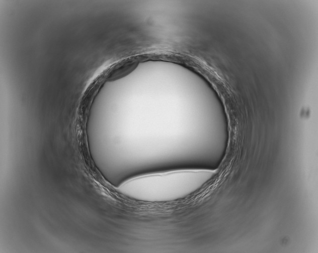 X0000096131400200801251005