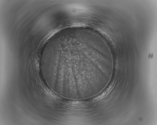 X0000096131401200801251005
