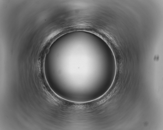 X0000096131402200801251005