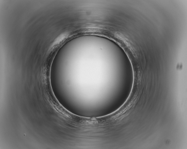 X0000096131403200801251005