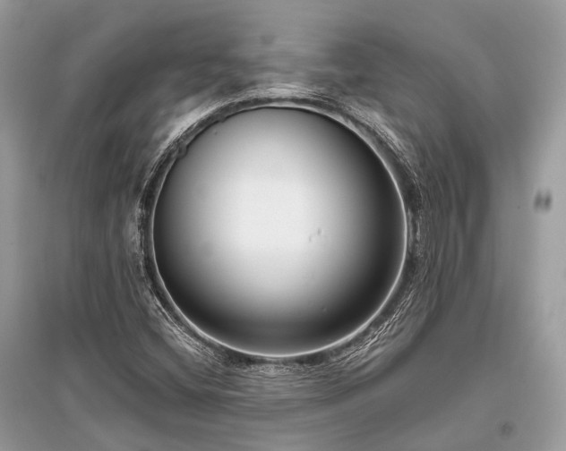 X0000096131404200801251005
