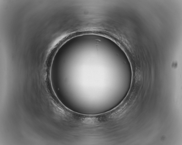 X0000096131406200801251005