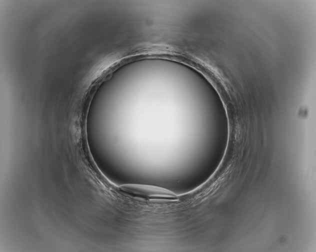 X0000096131407200801251005