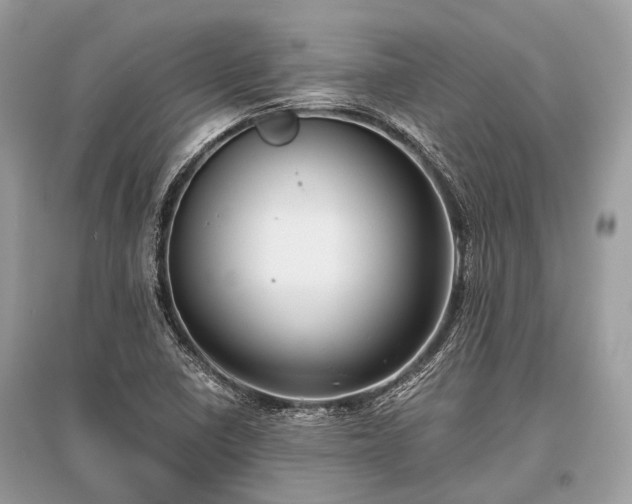X0000096131410200801251005