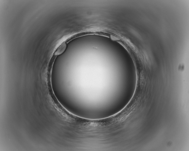 X0000096131412200801251005