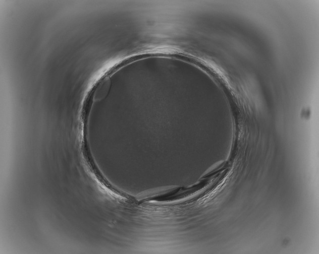 X0000096131414200801251005