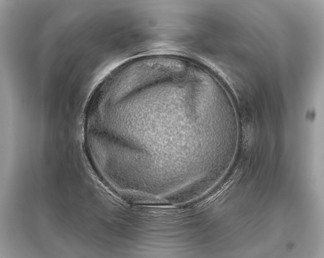 X0000096131415200801251005
