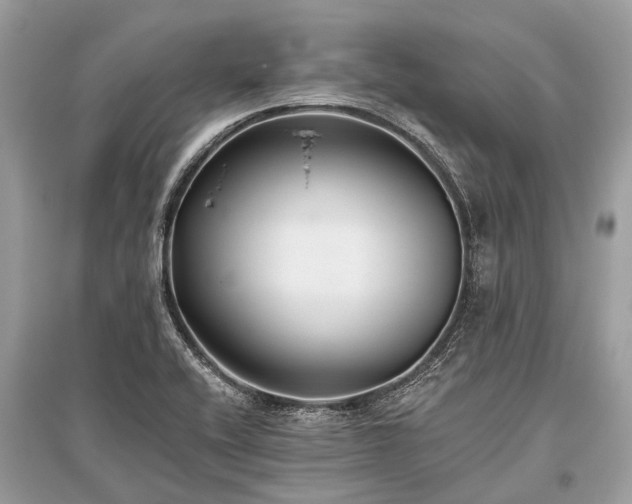 X0000096131416200801251005
