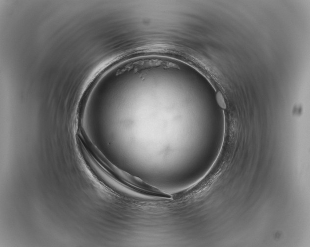 X0000096131418200801251005