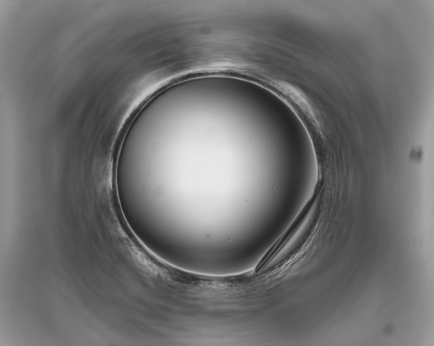 X0000096131420200801251005