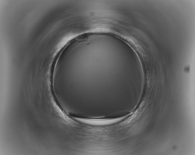 X0000096131422200801251005