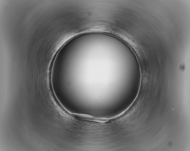 X0000096131423200801251005