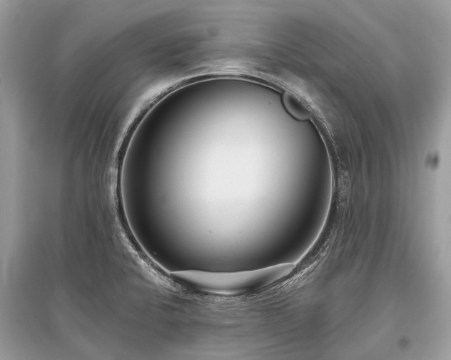 X0000096131424200801251005