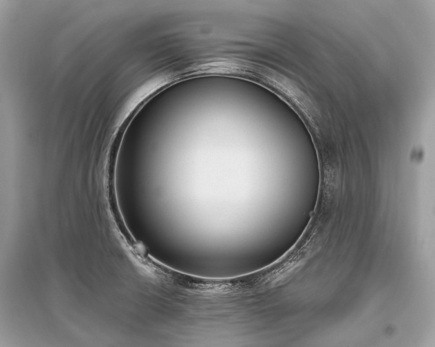X0000096131426200801251005