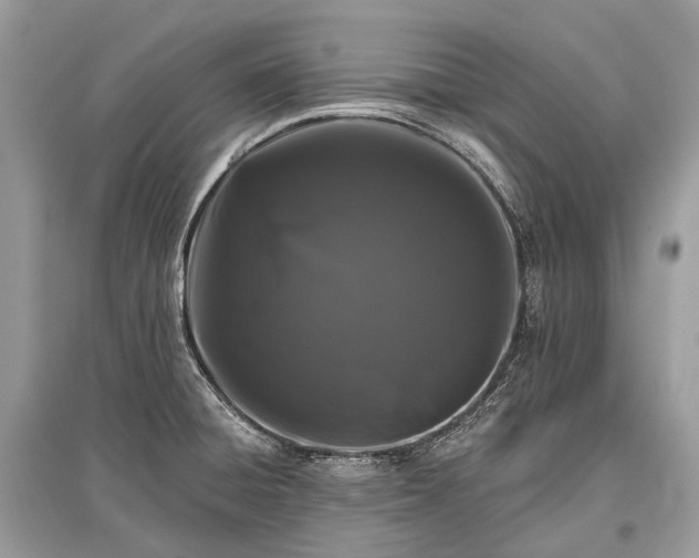 X0000096131428200801251005