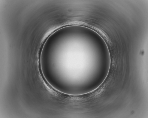 X0000096131430200801251005