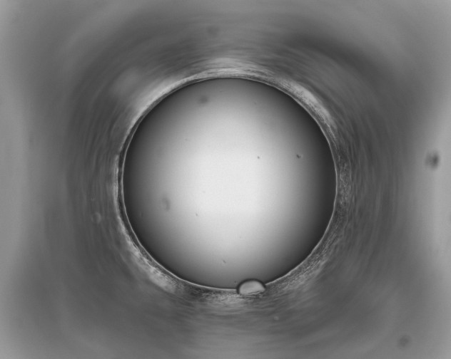 X0000096131431200801251005