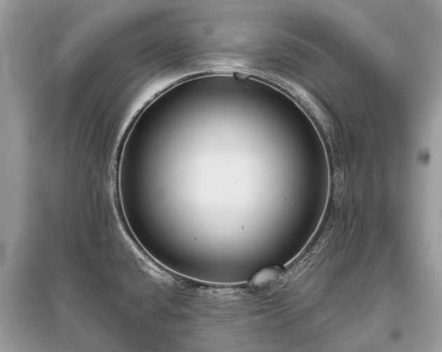 X0000096131432200801251005