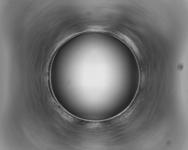 X0000096131435200801251006