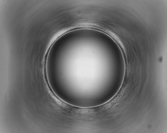 X0000096131437200801251006