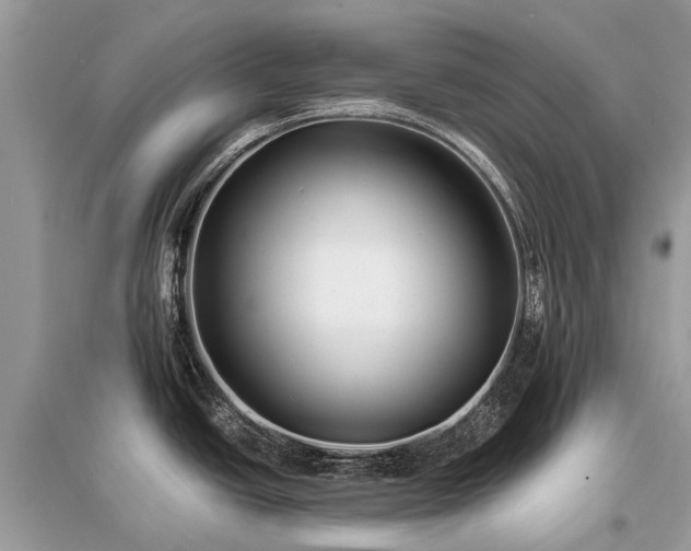 X0000096131438200801251006