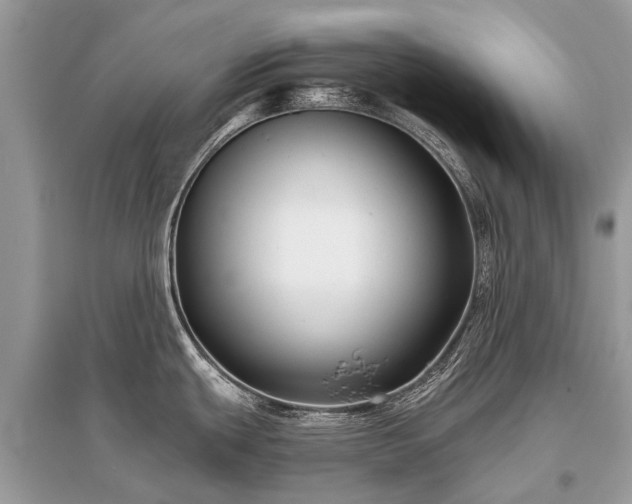 X0000096131439200801251006