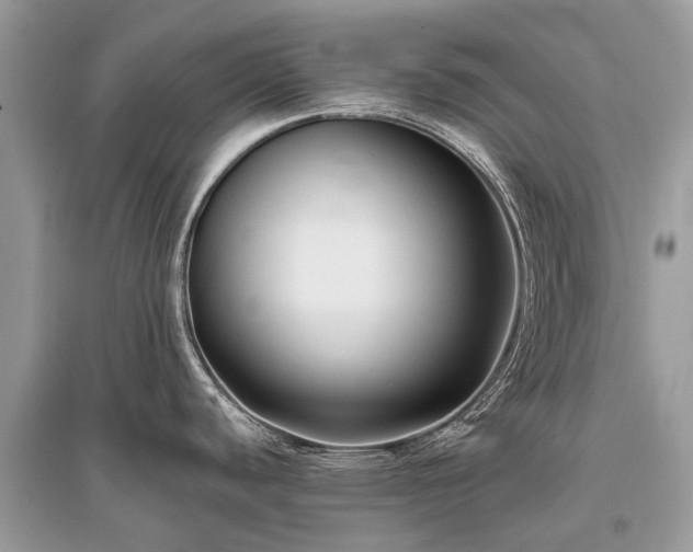 X0000096131440200801251006