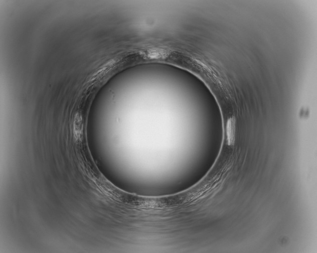 X0000096131443200801251005