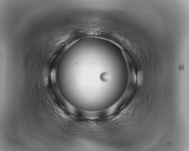 X0000096131444200801251005