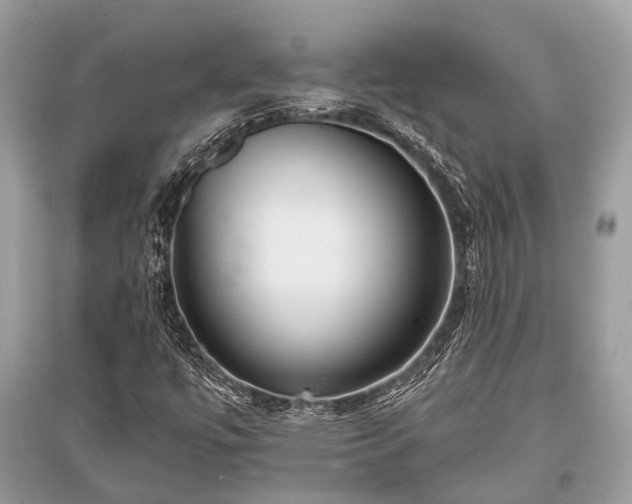 X0000096131447200801251005